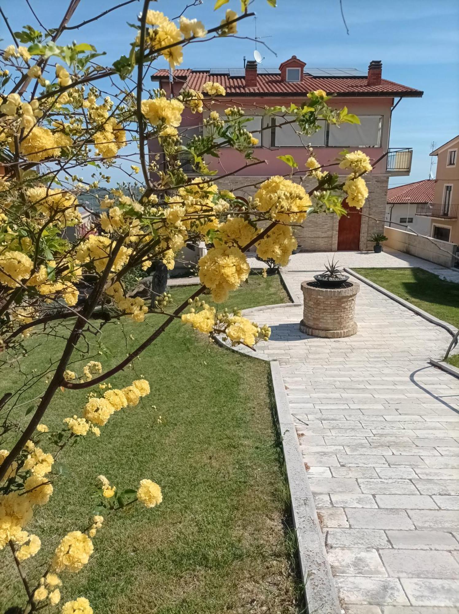 Villa Istonia Cupello Eksteriør bilde